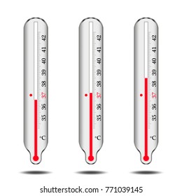 Vector image of mercury thermometers with a temperature scale in a metal shell