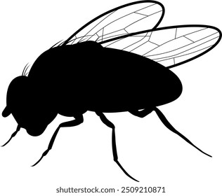 Vector Imagen de un mosquito