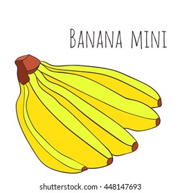 Vector image of a mini-banana Doodle image, sketch, vivid colors, food, food, exotic fruit