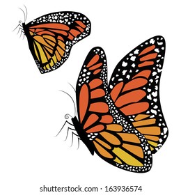 Vector image of a monarch butterfly