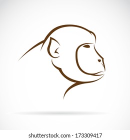 Vector image of a monkey face on white background