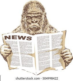 Vector image of a monkey with a news paper.