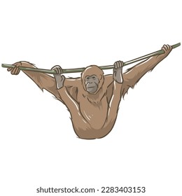 vector image of monkey and tree. wildlife pictures