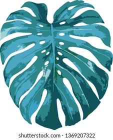 Vector image of monstera leaf on white background. Individual element. Silhouette, abstraction, decor.