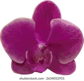 vector image of a moon orchid flower on a white background
