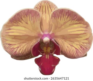 vector image of moon orchid flower on a white background
