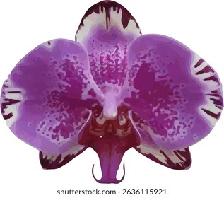 vector image of moon orchid flower light violet and pink color on a white background