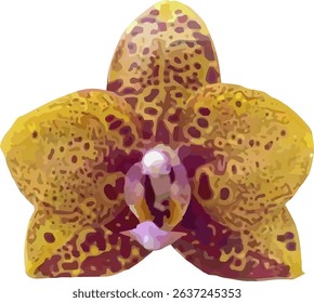 vector image of moon orchid flower on a white background