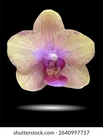 vector image of moon orchid flower on a black background