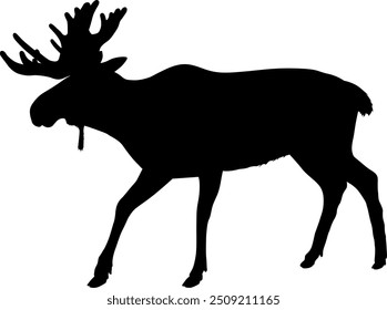 Vector image of a moose