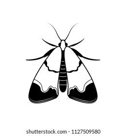 Vector image of moths, night insect, insect pest, wildlife. Black silhouette, flat design.