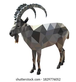 vector image of a mountain goat. polygonal animal Low Poly