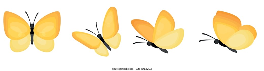 Vector image of multicolored butterflies. The concept of spring and summer. Colorful flying insects. An element for your design