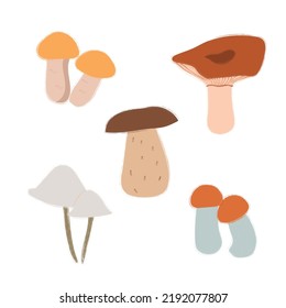 Vector image of a mushroom isolated on a white background. Porcini mushrooms, chanterelles, honey mushrooms, mushrooms, toadstools, morels.  Cartoon style.