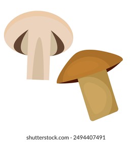 Vector image of mushrooms. Food concept. Element for your design. Ingredient for cooking.