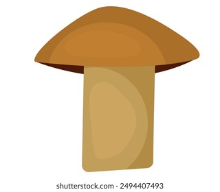 Vector image of mushrooms. Food concept. Element for your design. Ingredient for cooking.