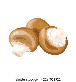 Imagen vectorial de las setas en un fondo blanco hongos reales
