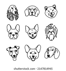 Vector image. Muzzles of dogs of different breeds