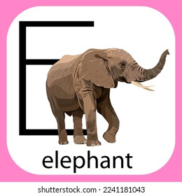 Vector image of a naturalistically drawn elephant on a white isolated background with a pink frame and a black letter e with the word elephant in English