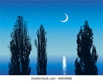 Vector image. Night silhouettes of poplars by the sea illuminated by the moon and stars