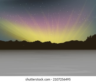 Vector image of the northern lights on the background of the night starry sky
