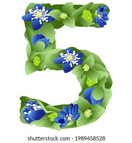 vector image of the number 5 in the form of flowers and leaves of liverwort on a white background in bright colors