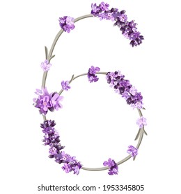 vector image of the number 6 in the form of lavender sprigs in bright purple colors on a white background