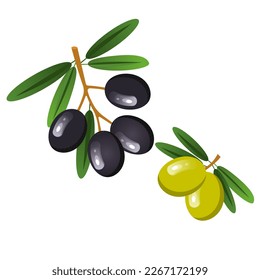 Vector image of olives . The concept of a healthy diet and lifestyle. A ripe and delicious product. A bright element for your design