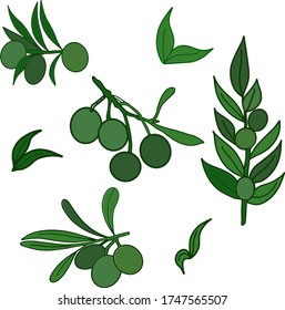 vector image of olives and leaves and branches using shades of green color