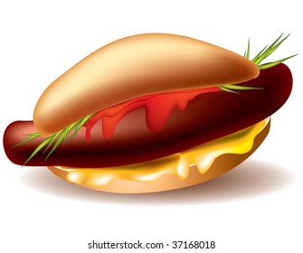 Vector image on the hot-dog theme