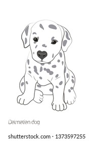 Vector image. On a white background there is a small white dog with spots. There is a сute Dalmatian puppy.