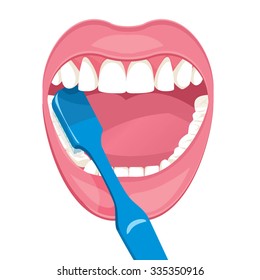 Vector image on a white background. how to brush your teeth rightly with a toothbrush. vector image on a white background. Healthy, white teeth. 
Open mouth , blue toothbrush. 
Mouth hygiene.