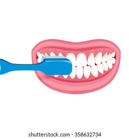 Vector image on a white background. how to brush your teeth rightly with a toothbrush. Healthy, white teeth. healthy strong , white teeth. health care , daily hygiene. Pink lips