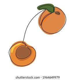 Vector image of one line apricot. A ready-made solution for a poster for the kitchen, for the design of a summer menu or a cafe interior.