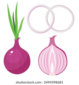 Vector image of onion. Food concept. Element for your design. Ingredient for cooking.