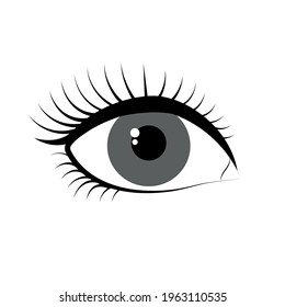 Vector image of an open eye, with long eyelashes. Simple doodle of an eyeball for web, decoration, design. Human organ of vision. Female eye isolated on white background. Arrow eye makeup.