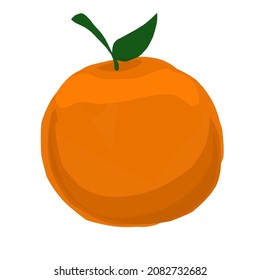 vector image of an orange
