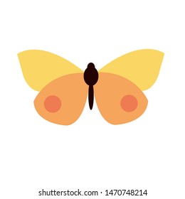 Vector image of an orange butterfly on a white background. Vector butterfly icon.