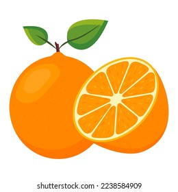 Vector image of an orange. The concept of healthy food and fresh fruit. Juicy fruits, orange snacks, vegetarian dishes. Delicious citrus.