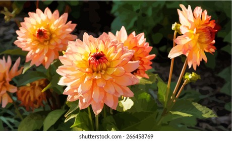 vector image of orange dahlia flowers