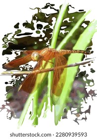 vector image of an orange dragonfly perched on a tree branch