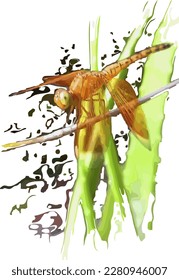 vector image of an orange dragonfly perched on a tree branch