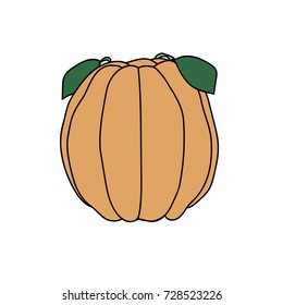 A vector image of orange pumpkin made in flat style. Vector isolated image. Design element. Cartoony pumpkin. Autumn harvest illustration with a vegetable.