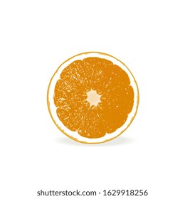 Vector image of an orange slice isolated on white background with shadow