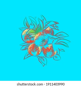 Vector image of oranges on a branch on a blue background. Set of illustrations. Composition for frame, interior decor, booklet, brochure, blog, hand drawn style print