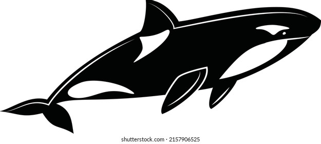 Una imagen vectorial de una ballena asesina de Orca