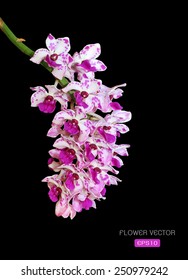Vector image of orchid flower on black background