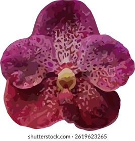 Vector Imagen de la flor de la orquídea en un fondo blanco