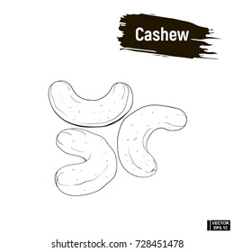 Vector image. Outline image of cashew. Nut hand drawing, imitation ink.