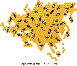 Vector image of the outline of the continents and continents in the form of honeycombs. The concept of development in different areas within the country. Europe. Asia. Eurasia